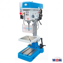 CONTINUOUSLY VARIABLE SPEED DRILLING MACHINE ZB4132VP